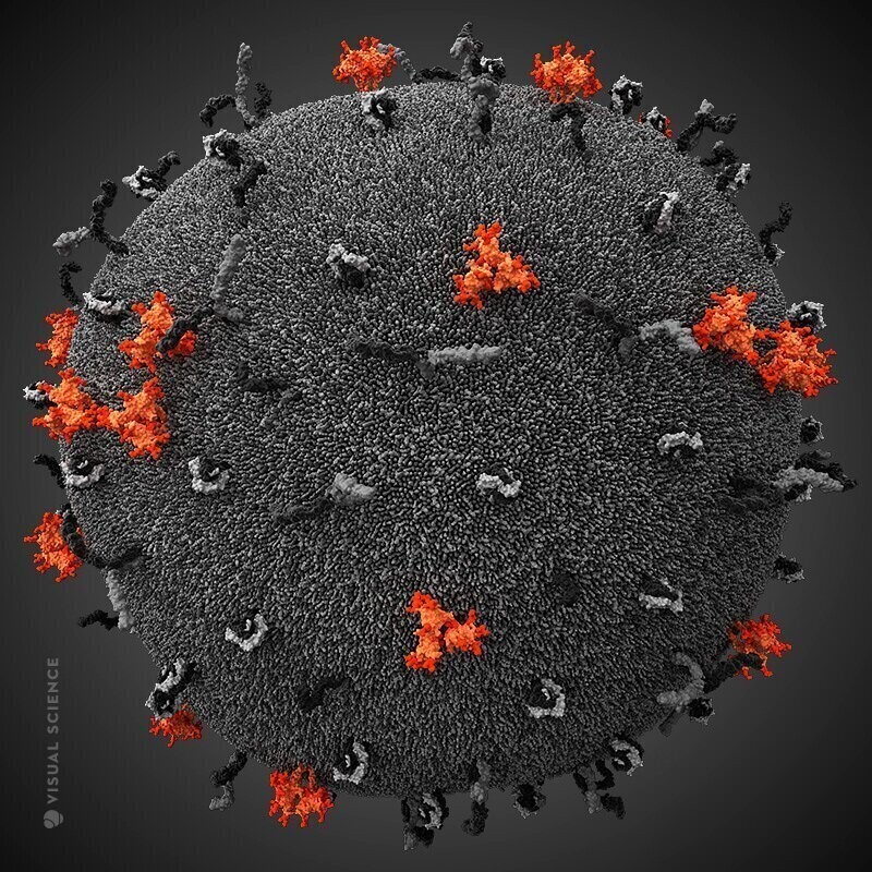 ВИЧ - вирус иммунодефицита человека. С начала эпидемии около 75 [63-89] миллионов человек заразились ВИЧ, 30% из них скончалось