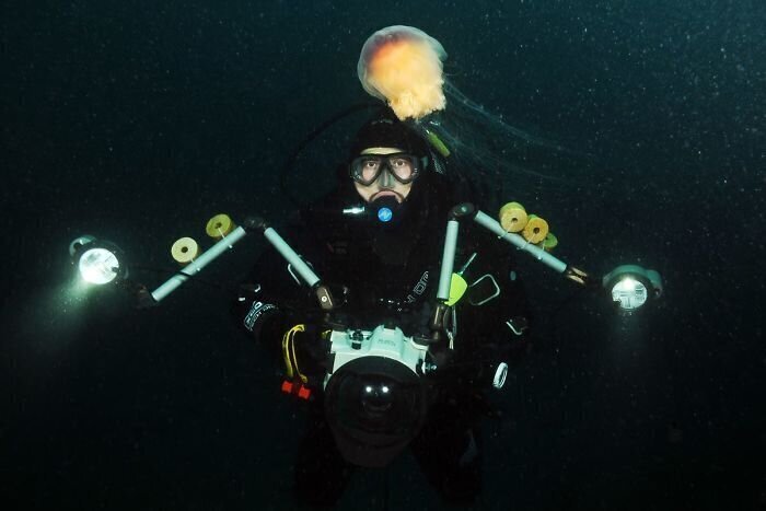 Александр возглавляет команду водолазов на Беломорской биологической станции, а еще - уже 9 лет занимается подводной фотографией: