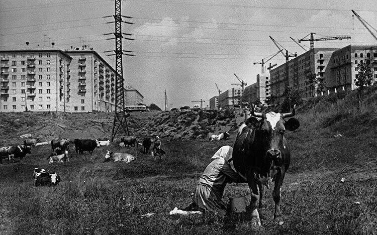 Москва строится, 1954 год, г. Москва, Ленинский проспект