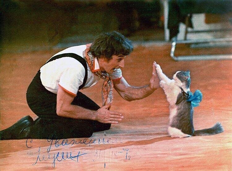 Валерий Мусин — коверный клоун и первый дрессировщик кошек в советском цирке, 1970-е, Азербайджанская ССР, г. Баку