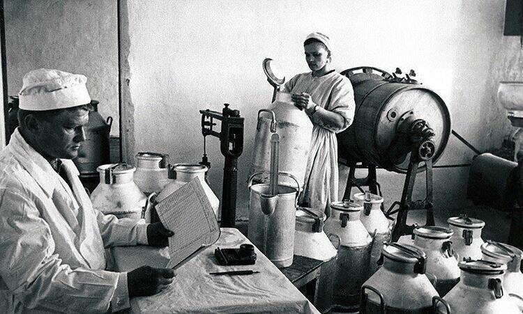 Пункт приема молока на одной из молочных ферм, 1956 год, Челябинская обл.