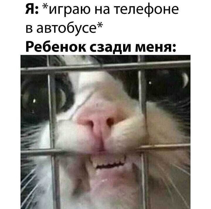 Смешные картинки