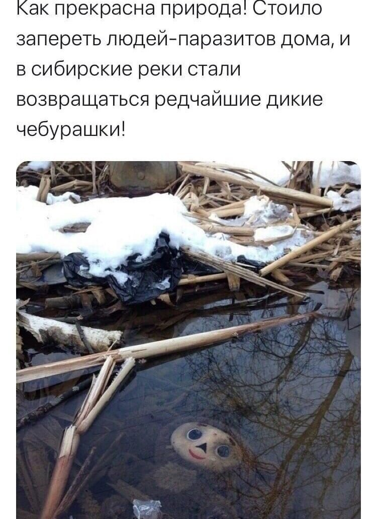 Смешные картинки