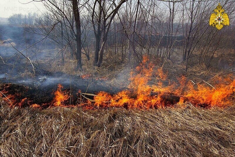 Прямо сейчас горение травы, по данным космического мониторинга, уже фиксируется в некоторых регионах Центральной России, в том числе в Смоленской и в Брянской областях.