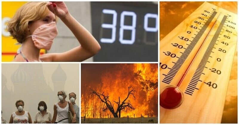 Потеют все: прогноз аномальной жары в России