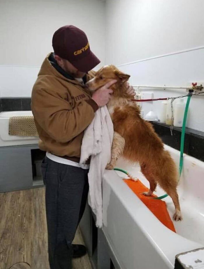 Пропавшая во время торнадо собака вернулась домой через два месяца