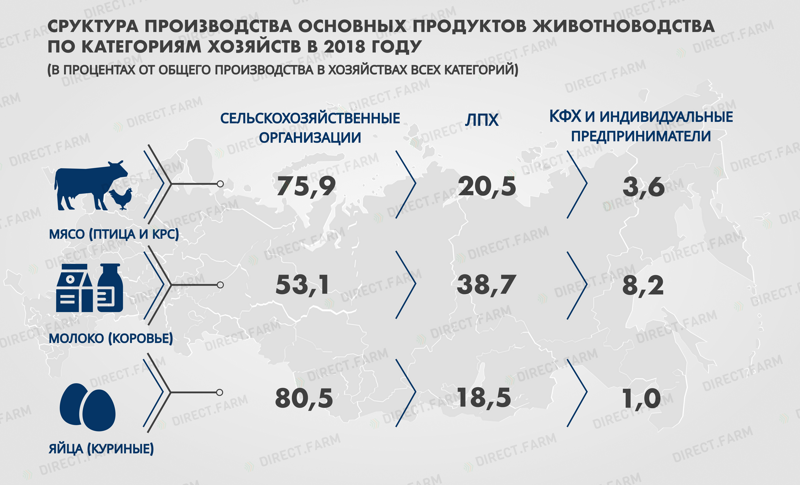 Структура производства продуктов животноводства по категориям хозяйств в 2018 году