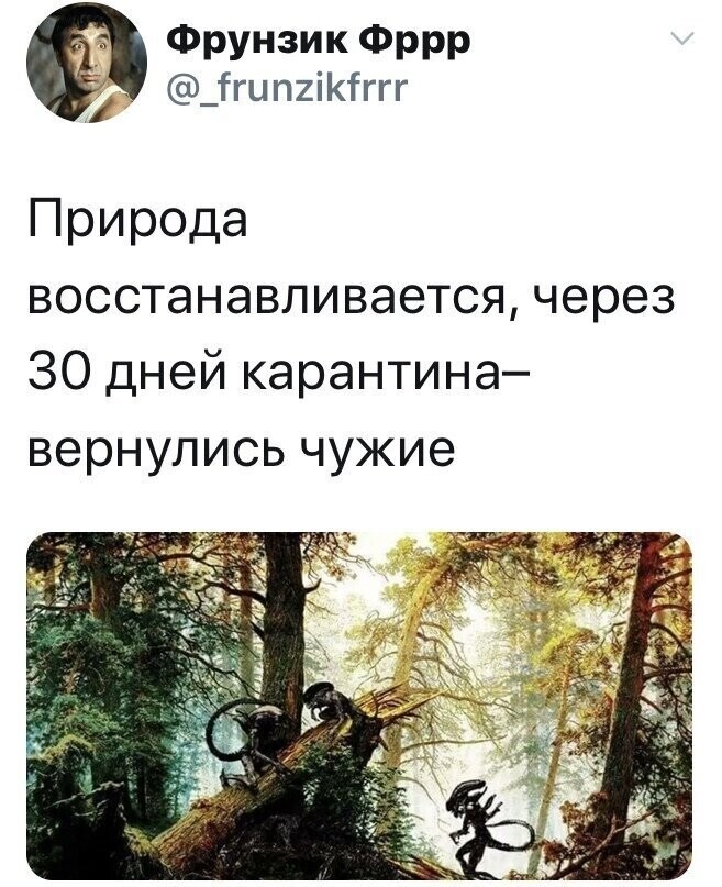 Политические комментарии из инета