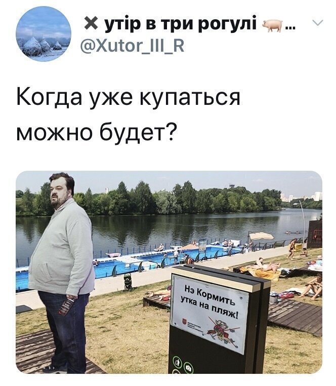 Политические комментарии из инета
