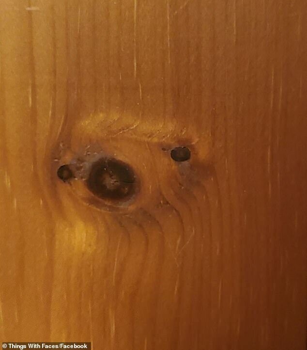 Деревянная дверь в панике