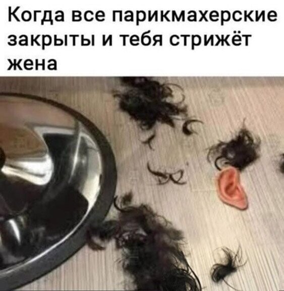 Прикольные и смешные картинки