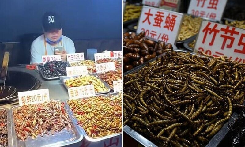 В Китае вновь открылся популярный рынок с фаст-фудом из насекомых