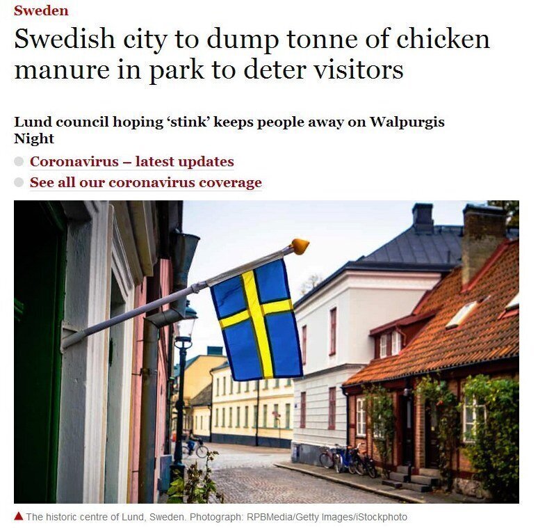 Особый шведский путь: куриный помет против COVID-19