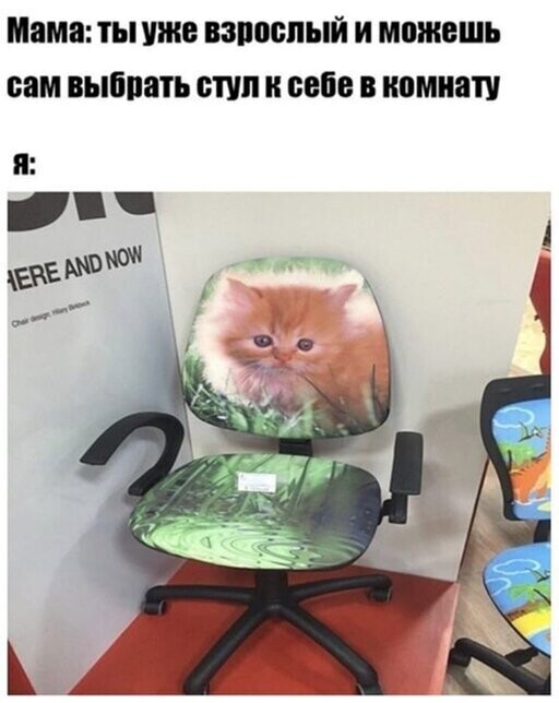 Прикольные и смешные картинки