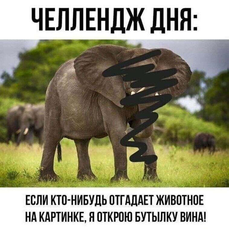 Смешные картинки и не очень