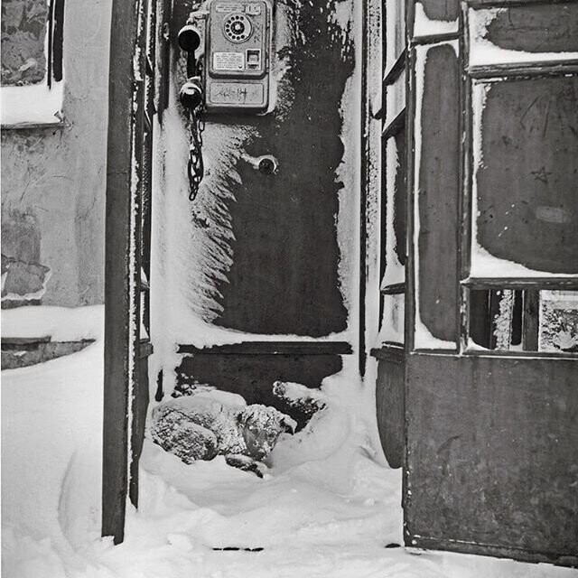 3. В надежде на помощь. 1967 г. Фотограф - Павел Кривцов