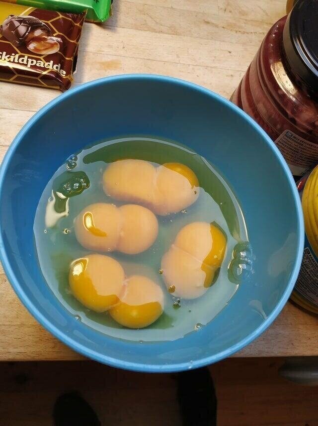"Моя мама разбила 4 яйца и в каждом из них было по два желтка"