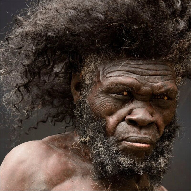 1. Примитивный представитель Homo Sapiens, жил 200 тысяч лет назад. Череп найден в Африке.