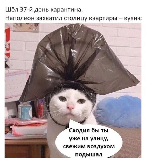 Прикольные и смешные картинки