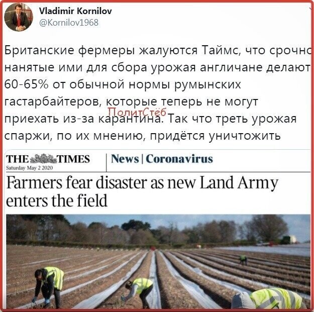 Политические комментарии из инета