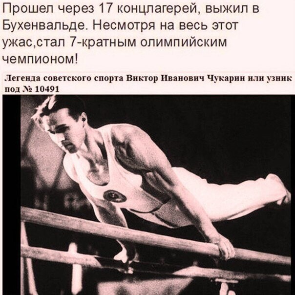 Политические комментарии из инета