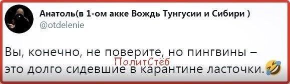 Политические комментарии из инета
