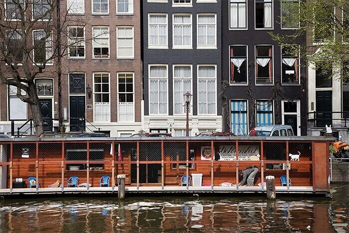 Плавучий Кошкин дом: одна из достопримечательностей Амстердама