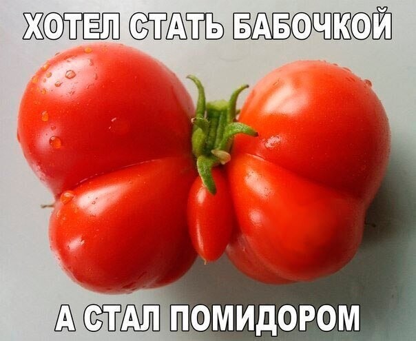 Смешные картинки и не очень