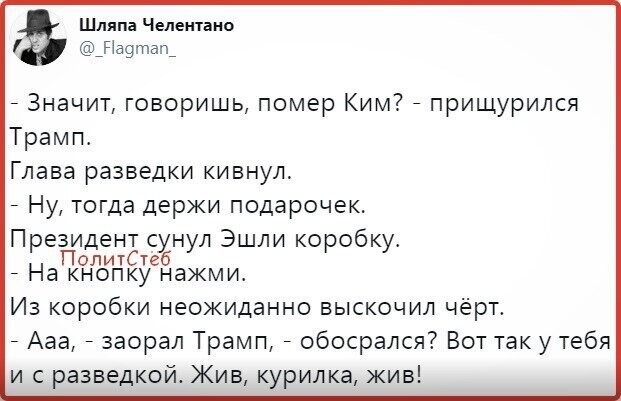 Политические комментарии из инета