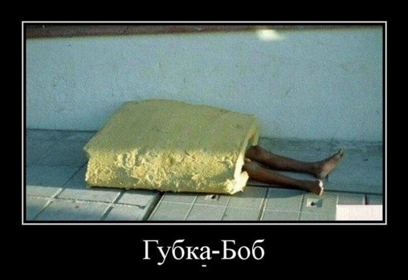 Губка боб