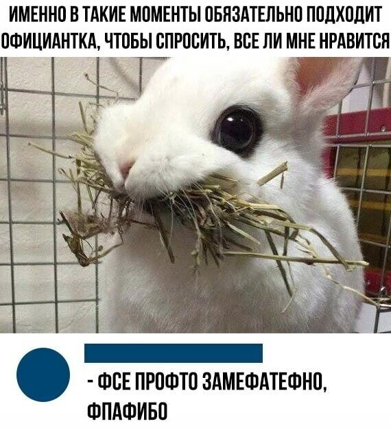 Смешные картинки и не очень