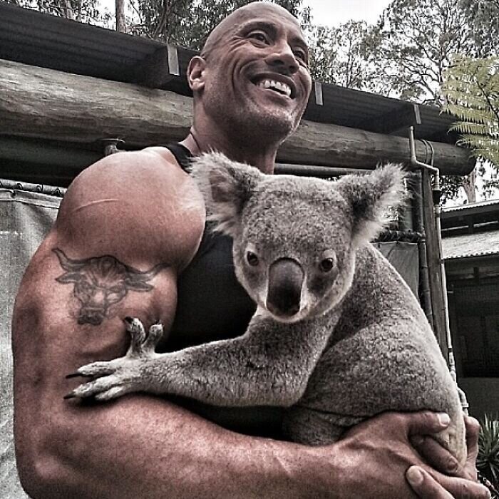Дуэйн обнимается с коалой