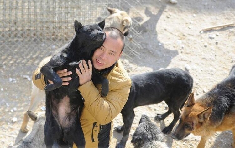 Китайский миллионер разорился из-за собак