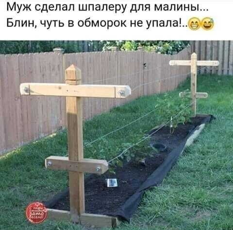 Смешные картинки и не очень