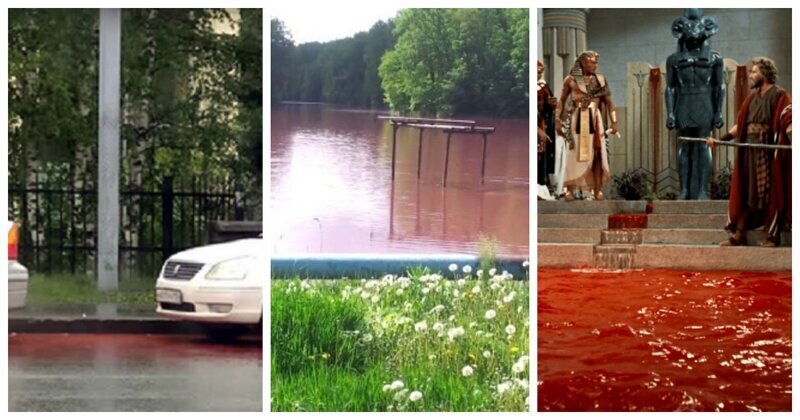 Жители одного из российских городов встревожены ручьями кровавого цвета