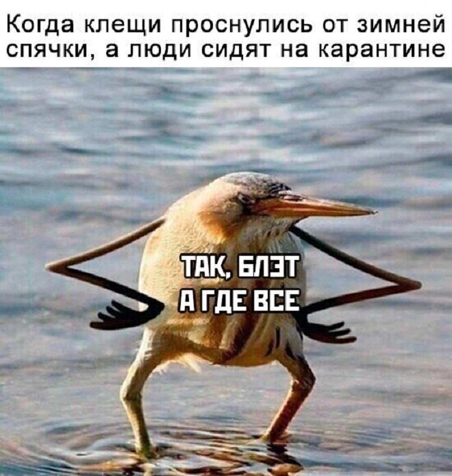 Хохотальня