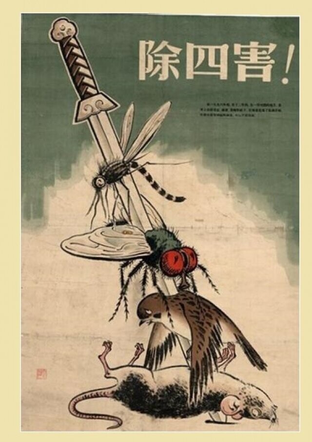 Все беды китайского народа на одном агитационном плакате