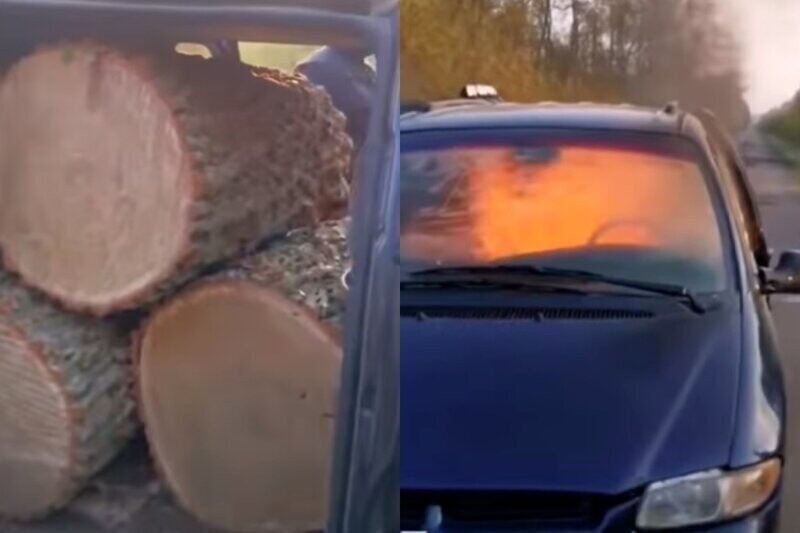 Заметая следы, банда лесорубов сожгла авто со спиленным дубом