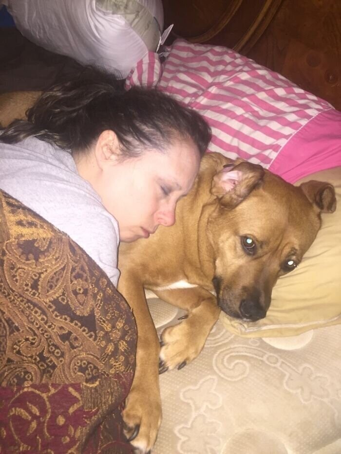 "Раньше жена запрещала собаке лезть в постель. Но та ее переубедила"
