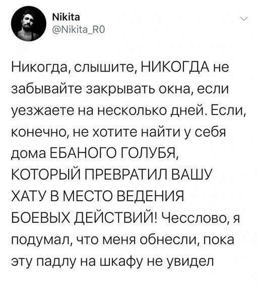 Прикольные и смешные картинки