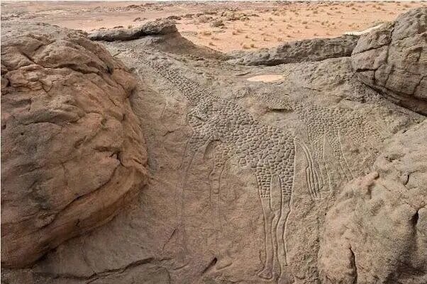 Рисунки на скалах в Сахаре, которым примерно 10 тысяч лет