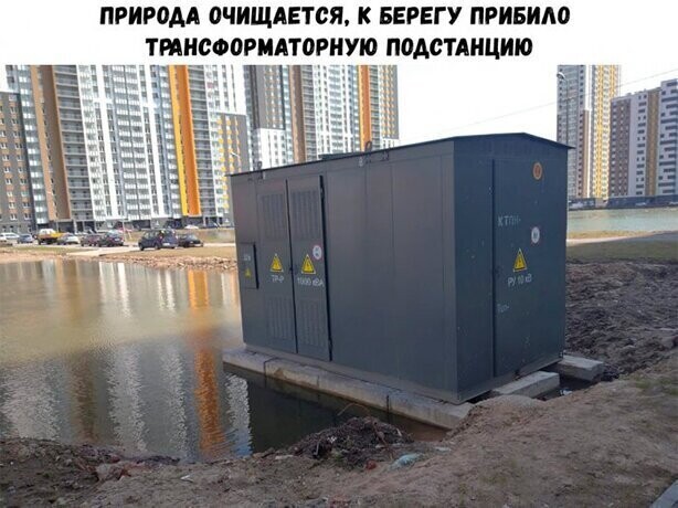 Прикольные и смешные картинки