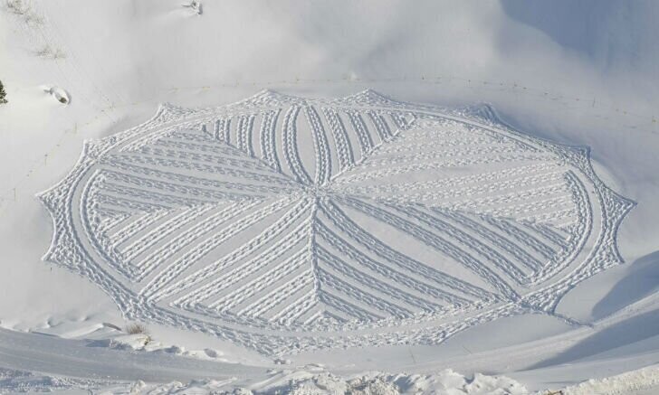 Кто оставляет волшебные узоры на снегу среди горных альпийских вершин