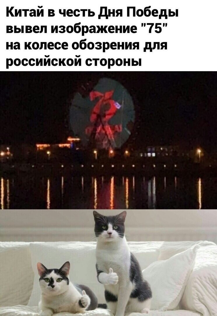 Политические комментарии из инета