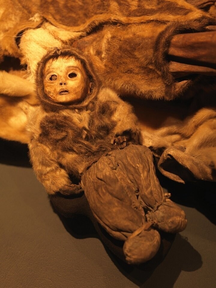 Мумия годовалого мальчика до сих пор наводит ужас на посетителей Национального музея Гренландии. Он больше похож на куклу, чем на ребёнка. Учёные установили, что мальчик страдал синдромом Дауна.
