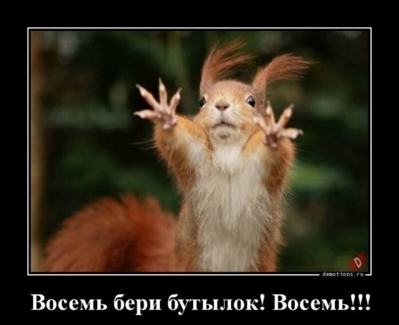 Восемь бери бутылок