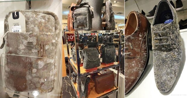 5. В Малайзии кожаные изделия в закрытых торговых центрах покрылись плесенью спустя 2 месяца