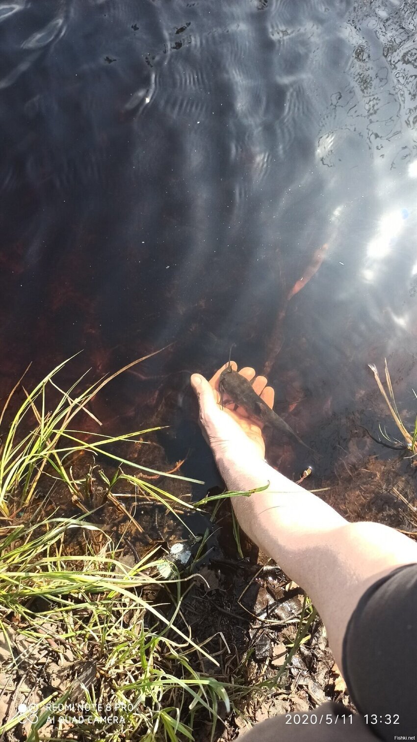 Приехали на место,разложились,мангальчик,удочки