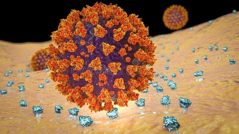 Ученые рассказали, почему мужчины чаще заражаются коронавирусом