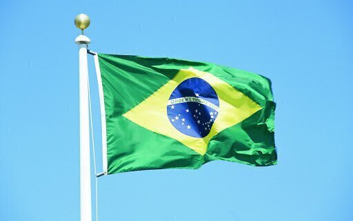 8. На чьей стороне воевала Бразилия?